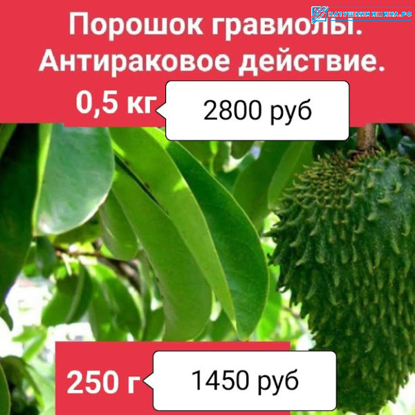 GRAVIOLA лечения рака порошок