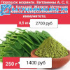 Моринга порошок (MORINDA CITRIFOLIA) Вьетнам - отправка из Москвы
